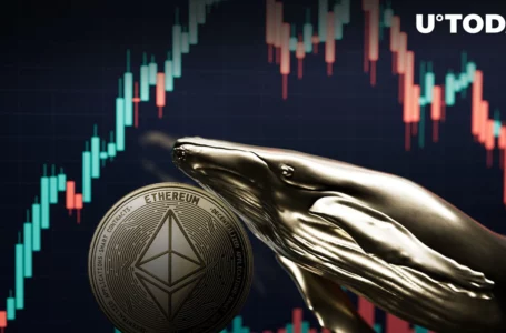 320,000 ETH Moved by Whales, Here’s How Ethereum Price Reacted