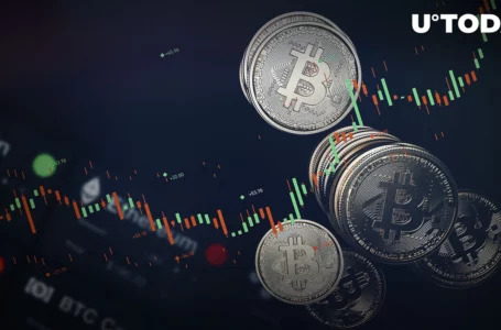 Bitcoin Might Trade Between $17,600 and $25,000 Till End of 2022, Survey Says, Here’s Why