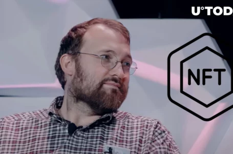 Here’s Cardano Founder’s Amusing Response to Recent NFT Growth