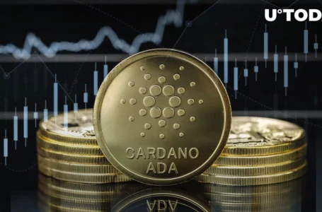 Cardano Spikes 12% and Makes Top Most Profitable Cryptos, Here’s What Happened