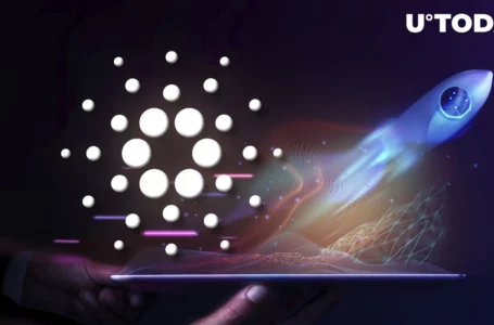 Cardano Is a Rocket, European Parliament Member Says