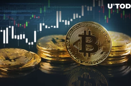 Here’s How Bitcoin May Reach $24,000, Analyst Explains