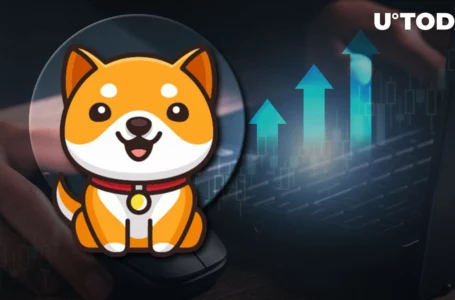 BabyDoge Price Jumps on This New Exchange Listing: Details