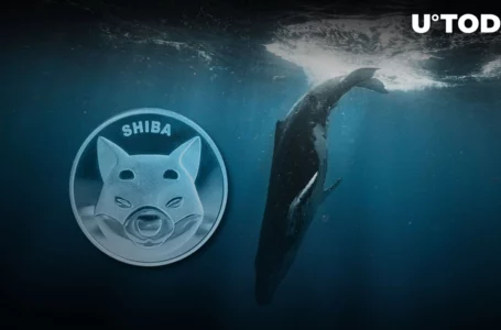 Whale Parts with 3.3 Trillion SHIB, Now Holds Zero Coins: Details