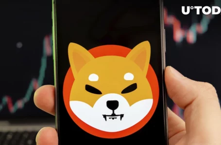 Shiba Inu Sets New Milestone in This Long-Term Metric: Report
