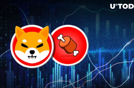 Shiba Inu’s BONE Pumps 20% and Outperforms SHIB