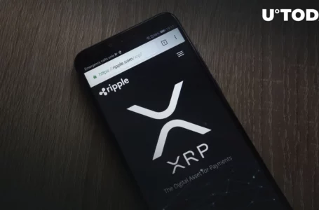 Ripple Reaches “Huge Milestone” as It Now Holds Less Than Half of Total XRP Supply