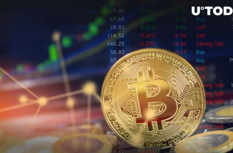 Here’s Exactly Why Bitcoin Is Rising in Last Few Days