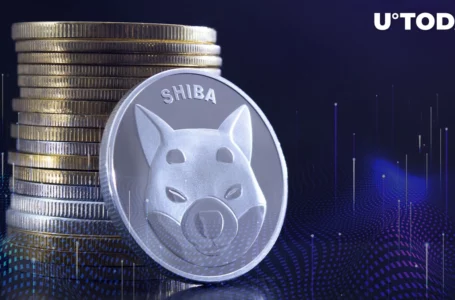Shiba Inu Claims Second Spot in CMC Trends, Here’s Why It Could Happen