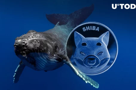 Shiba Inu: Mysterious Whales Move Trillions of SHIB as Transactions Jump 154%