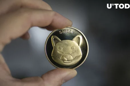 1.3 Trillion SHIB Moved in 858 and 420 Billion Lumps, Here’s What’s Happening