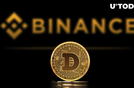 400 Million DOGE Moved to Binance in One Hour, Here’s What’s Happening