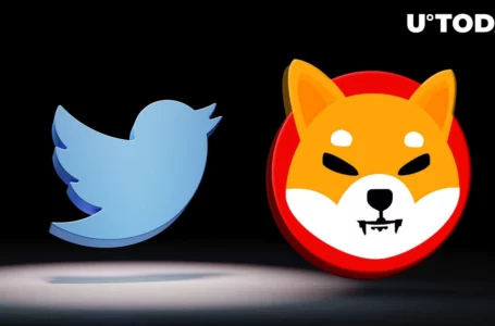 Shib Tweets Mysterious Teaser, Community Feels Excited