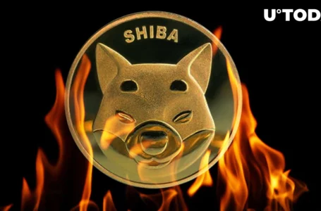 SHIB Burn Rate Climbs by 443% As Price Reaches Six-week High