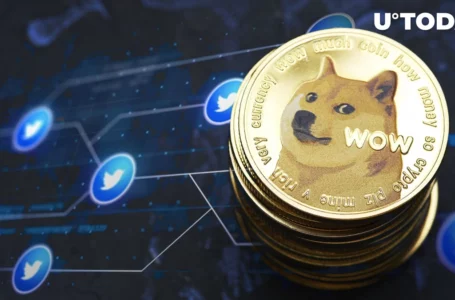 Dogecoin Price Springs 29% as Chances to Be Adopted by Twitter Rise