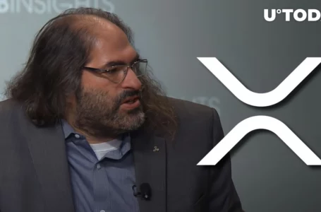 Ripple CTO Claims XRP Is Performing in Line with Bitcoin and Ethereum
