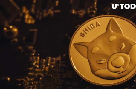 SHIB Lead Developer Says “Exciting” Update To Come Soon: Details