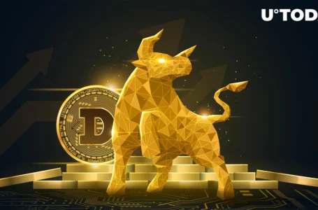 Dogecoin Addresses in Profit Rise to 65% as Price Reaches Five-month High