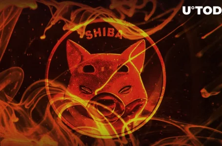 SHIB Burn Rate Spikes 1,720% After Shiba Inu Price Cools Down