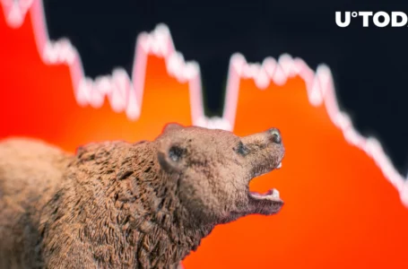 Potential Bear Storm Underway as Crypto Liquidations Hit New Highs, Analyst Expects