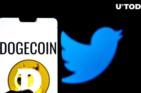 Dogecoin Jumps 11% as Twitter Brings This NFT Feature