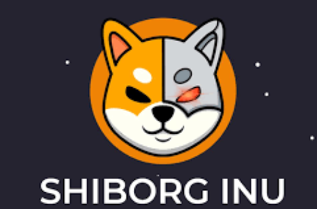 Shiborg Inu coin (SHIBORG): A Decentralized Meme Token with NFT Platform