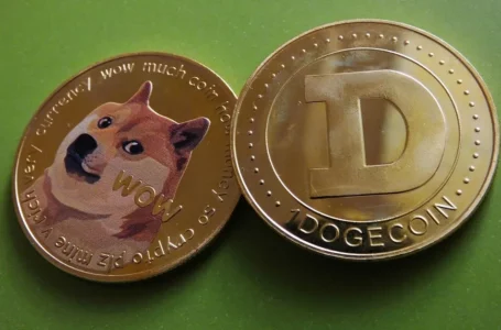 DOGE Price : Dogecoin To The Moon! Is This The Right Time To Increase Your Holdings?