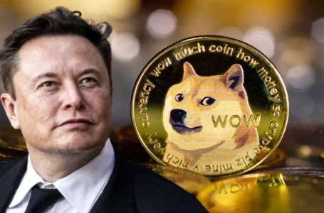 Dogecoin Whale Accumulation Spike – Is DOGE Price Getting Ready To Moon?