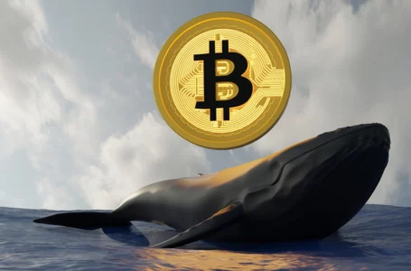 BTC Whale Transfers $940 Million Out of Coinbase — 3 Batches of ‘Sleeping Bitcoins’ From 2011 Move