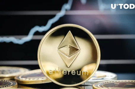 Incoming Pump? Ethereum Whales Intensify Multi-million Dollar Transfers Despite Bear Storm