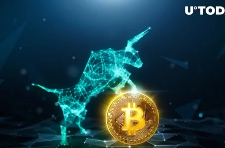 Next Bitcoin Bull Run Might Soon Kick Off, Analyst Says