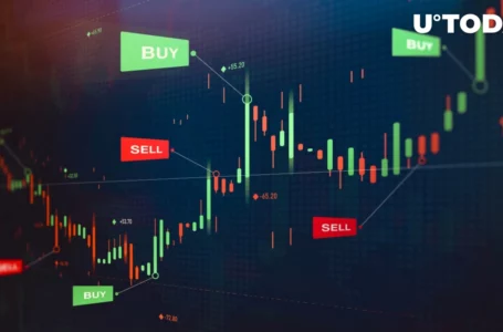 Santiment: Crypto Market Prices Are Going Up and Down Because of This