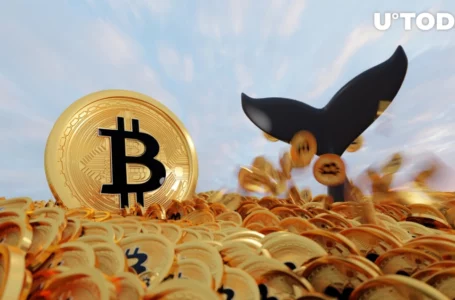 Bitcoin Futures Traders Are Mostly Whales Now, Says Top Analyst