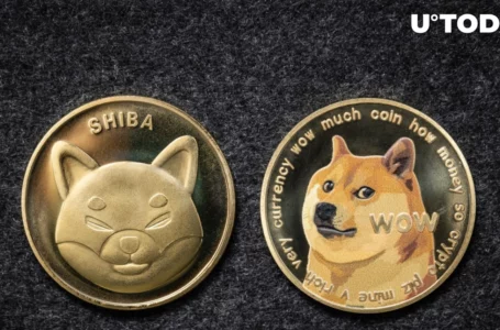 SHIB, DOGE Surge Together, Volume Skyrockets