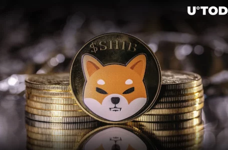 Shiba Inu on Track for Its Biggest Monthly Gains Since Start of 2022: Details