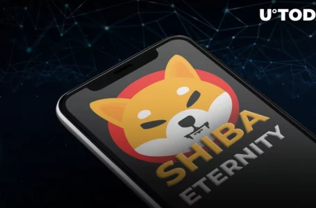 SHIB Reveals Surprise for Shiba Eternity, Developer Hints at Next Focus
