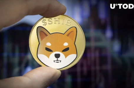 SHIB Price in Powerful Action as It Nears Inflection Point