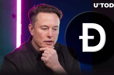 Doge Creator Steps in to Defend Elon Musk, Here’s What Tesla Boss Is Indirectly Accused Of