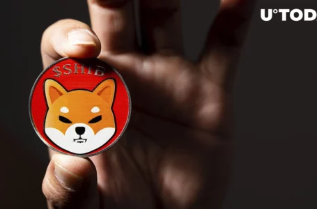 SHIB Payments Expand to Million More Users Through This Integration: Details