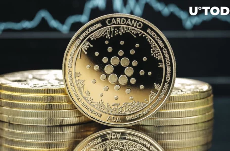 Cardano Reports On-chain Growth in October, Here Are Details