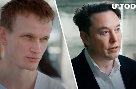 Vitalik Buterin Is Concerned About Elon Musk’s New Idea