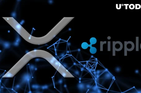 Ripple Gets 300 Million XRP from Anon Wallet, Locks 700 Million in Escrow