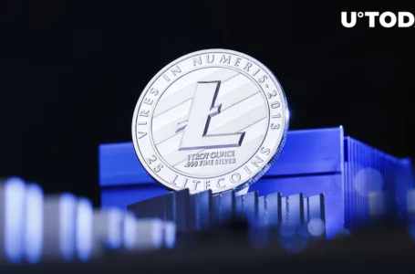 Litecoin Price Takes Giant Leap After Adoption News: Details