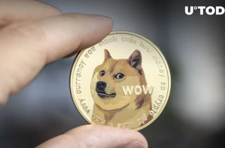 64 Billion DOGE Bought at $0.09 Price as Several Traders Entered at This Point