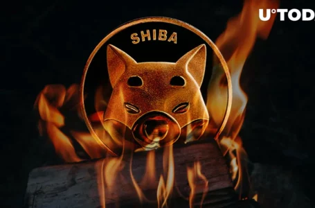 SHIB Burn Rate up 260% as Shibarium Release Date Potentially Gets Closer