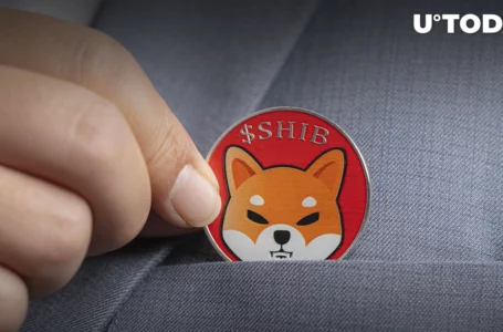 Hundreds of Billions of SHIB Moved as This Influencer Announces Support for Shiba