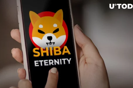 Shiba Eternity Sets New Milestone as Surprise Is Released