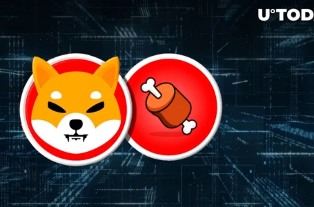 Shiba Inu’s BONE Token Now Listed on Another Crypto Exchange