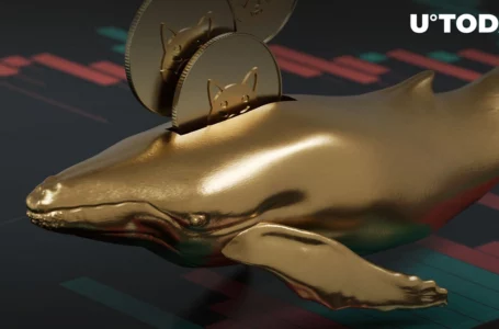 Whale Moves Trillions of SHIB as Hardly Any SHIB Gets Burned Today