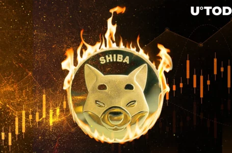 Shiba Inu Burn Rate Jumps 412% as SHIB Price Regains Key Level